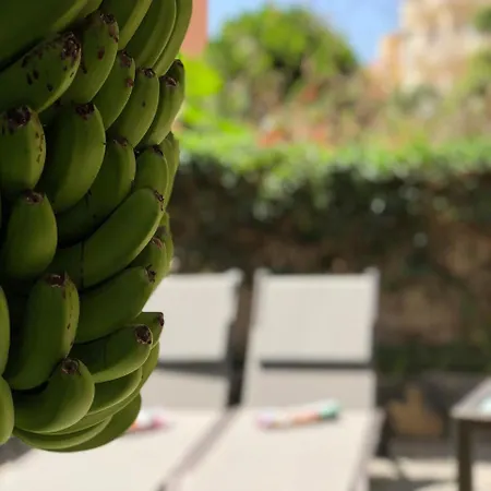 Caserio De La Playa - Adults Only Apartment Valle Gran Rey